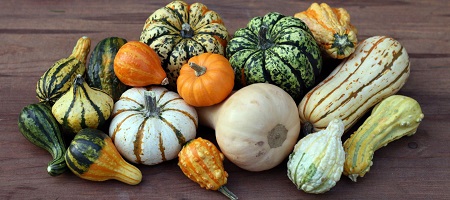 courge1